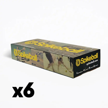 Standard Kit Master Case (6 units)